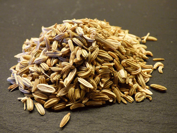 fennel_seed