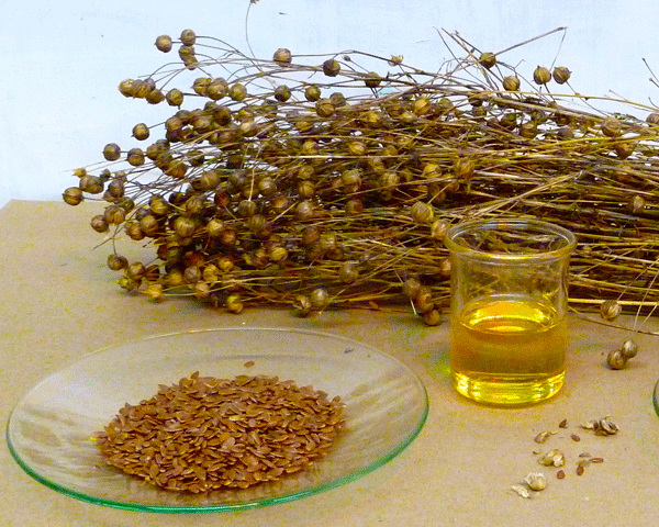 flax_seed_oil